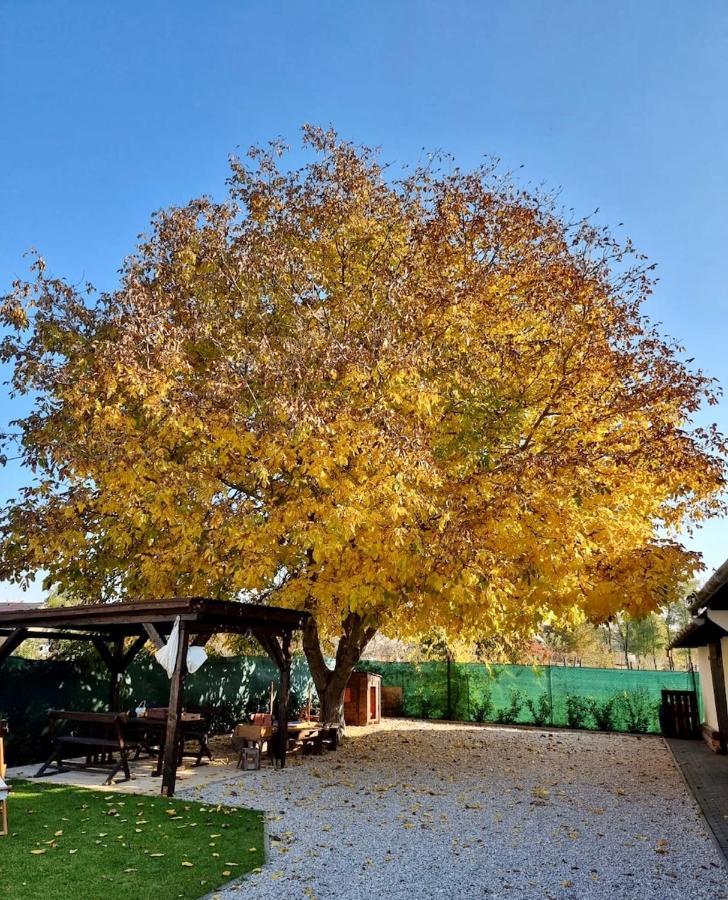 A Mi Kishazunk Vendeghaz Daire Szomod Dış mekan fotoğraf